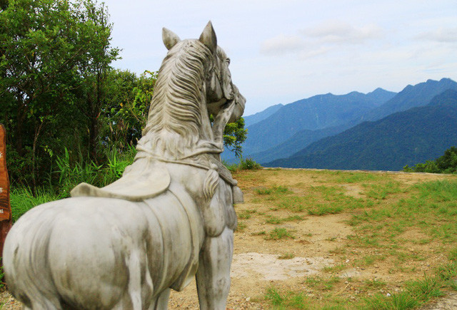 "Ngựa trắng" Bạch Mã đứng chầu nhìn về phía núi cao