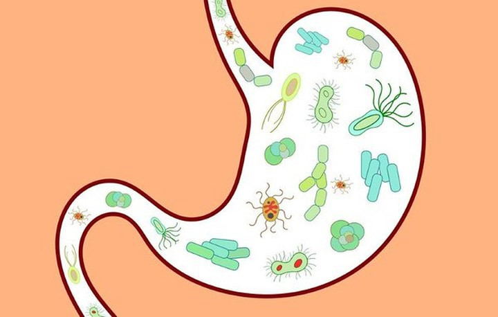 Bệnh đường ruột: Nếu bạn có bất kỳ bệnh đường ruột nào, chẳng hạn như bệnh Crohn và viêm loét đại tràng, tránh uống nước ép lô hội vì mủ lô hội là chất kích thích ruột.