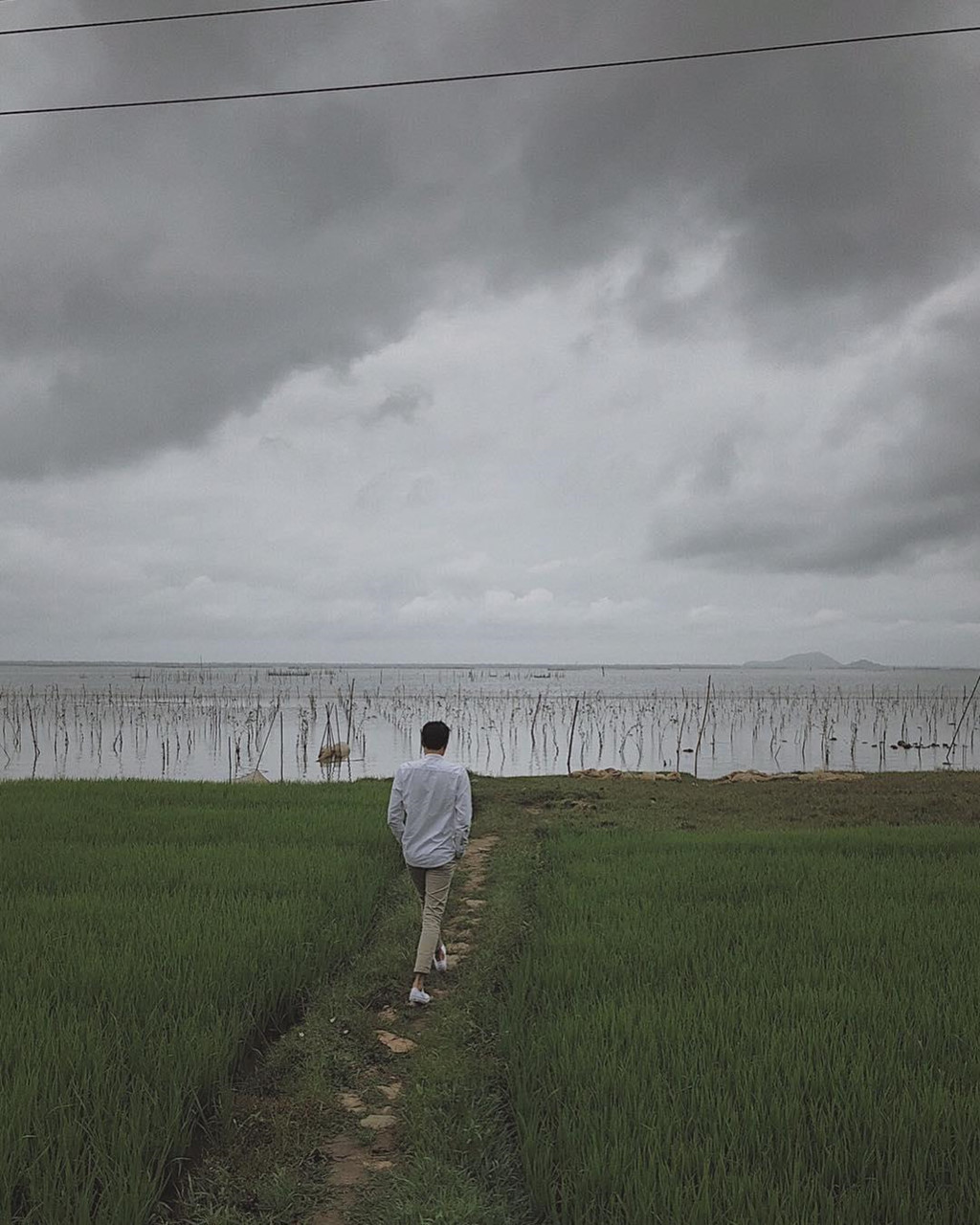 Ảnh: _hino98_, tranquangdai.