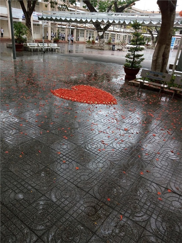 Và anh chàng hoặc cô nàng "tiểu quỷ" nào đó đã mượn phượng tỏ tình thế này đây.