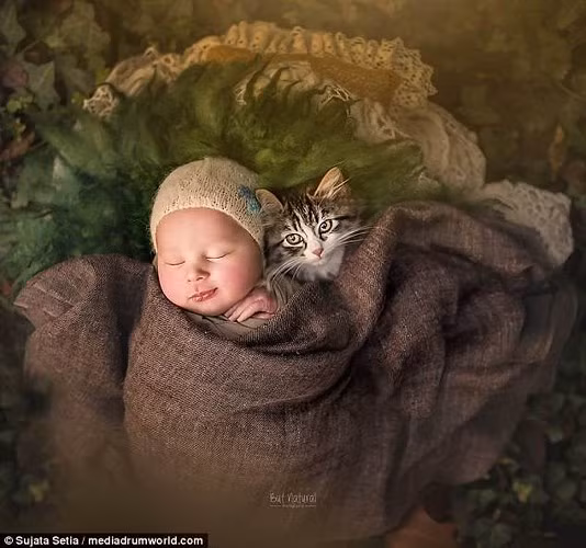 Sujata Setia cho biết, đôi khi cô phải chờ hàng giờ để "mẫu nhí" ngủ say trước khi chụp ảnh. Ảnh: Mediadrumworld.