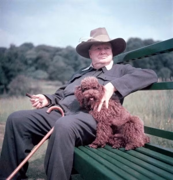 Thủ tướng Winston Churchill bên chú chó cưng. Ảnh: Mark Kauffman