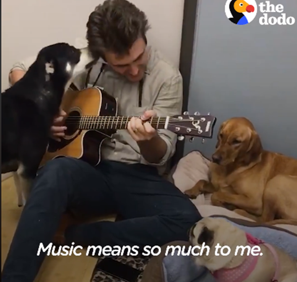Anh cho rằng âm nhạc rất kỳ diệu, sẽ làm giảm bớt sự căng thẳng cho thú cưng.