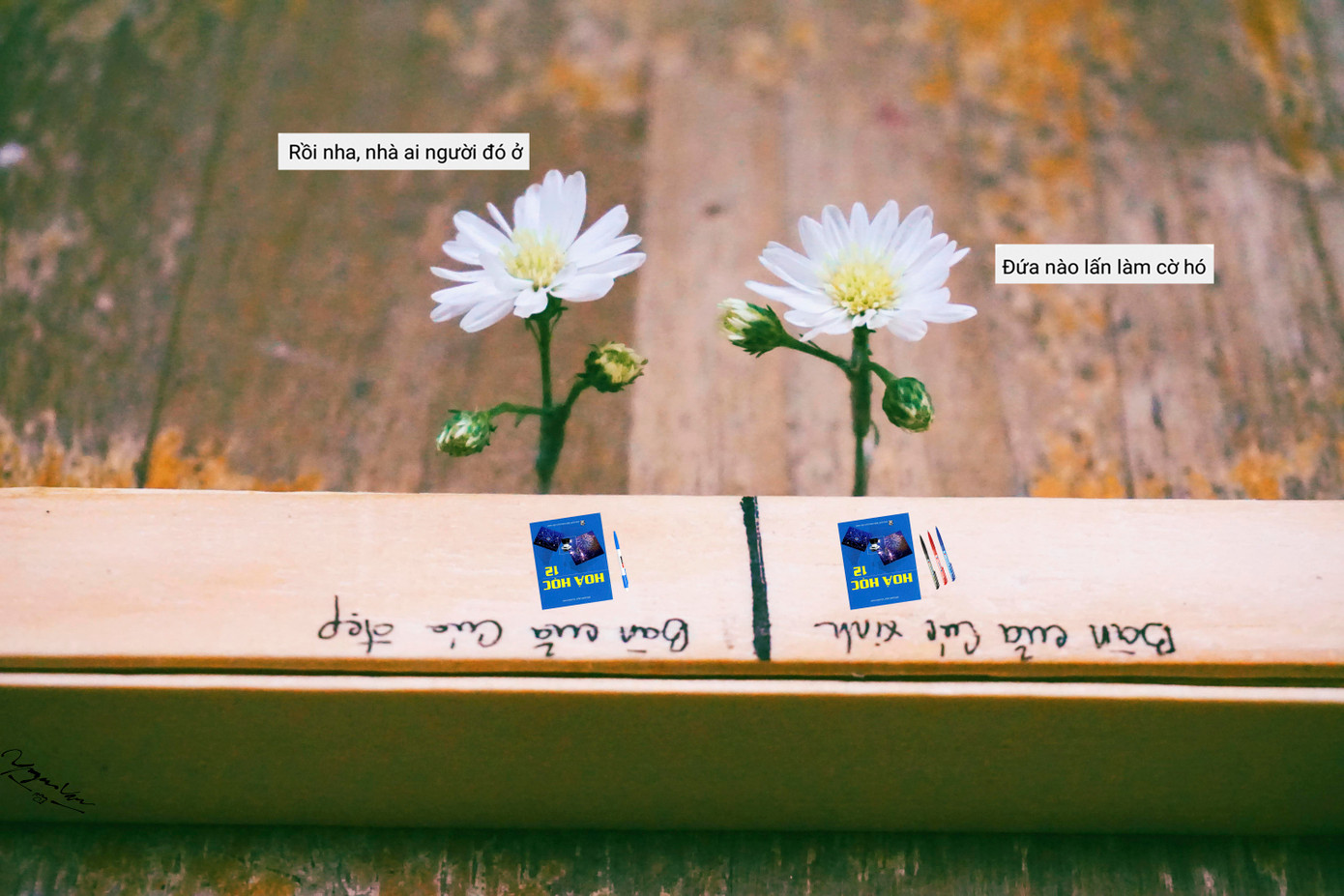 Chia đôi giang sơn nè