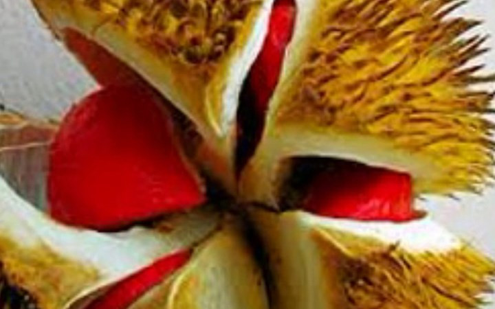 Theo những lời quảng cáo 