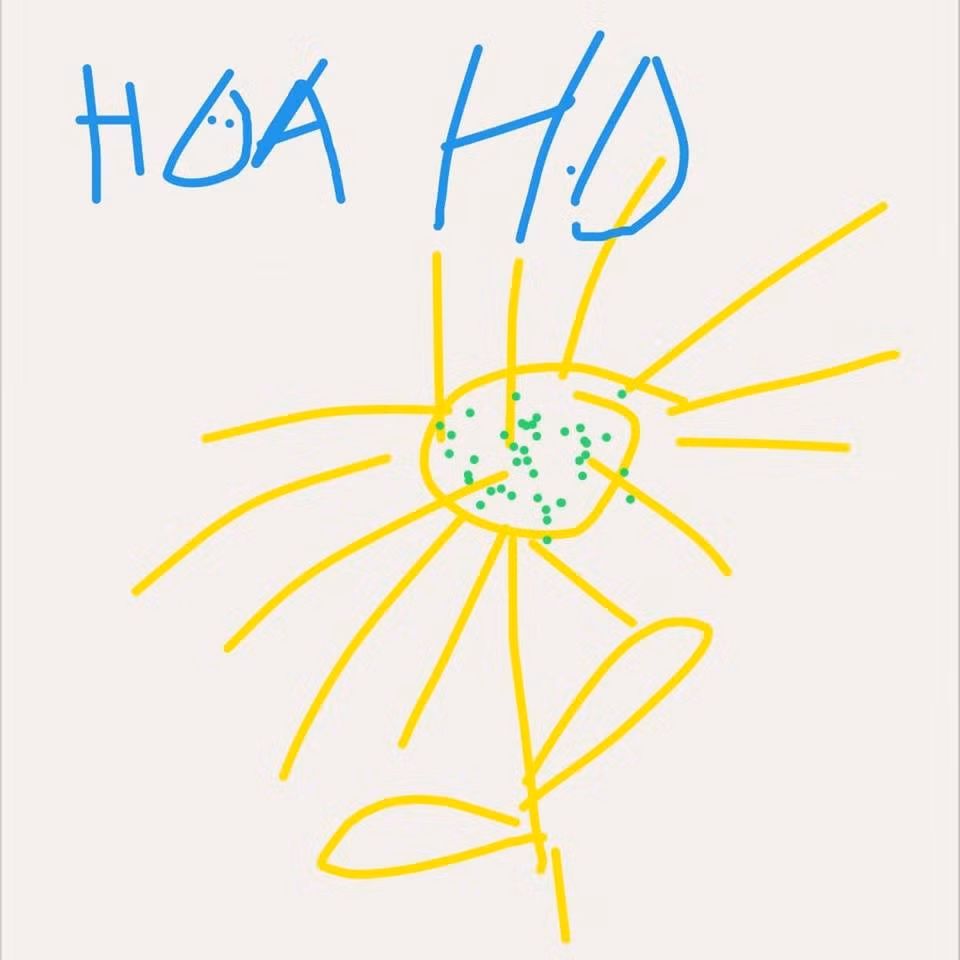 Vẽ hoa dướng dương nhưng phải chú thích cẩn thận sợ mọi người nhận không ra.