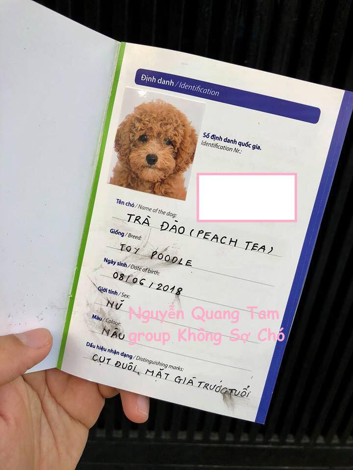 Chụp hình thẻ 4 tấm mất 28.000 đồng, khuyến mại trận cười của cả tiệm.