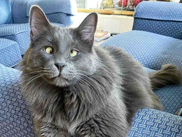 Belarus có đôi mắt rất kỳ lạ.