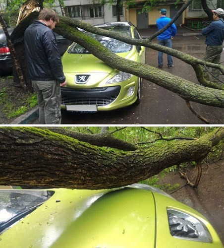 Một khoảnh khắc may mắn đến khó tin khi thân cây bị đổ chỉ còn cách chiếc ô tô vài mi-li-mét.