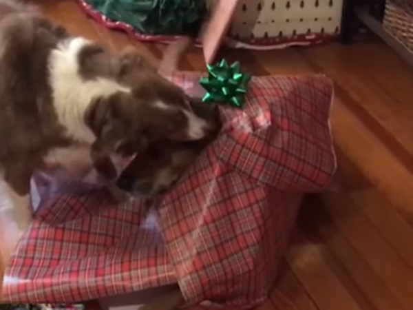 Và khi anh trai tôi đên nhận quà. "Em trai tôi đâu rồi?"