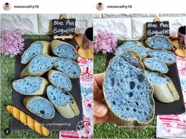 Ảnh: meowcathy16