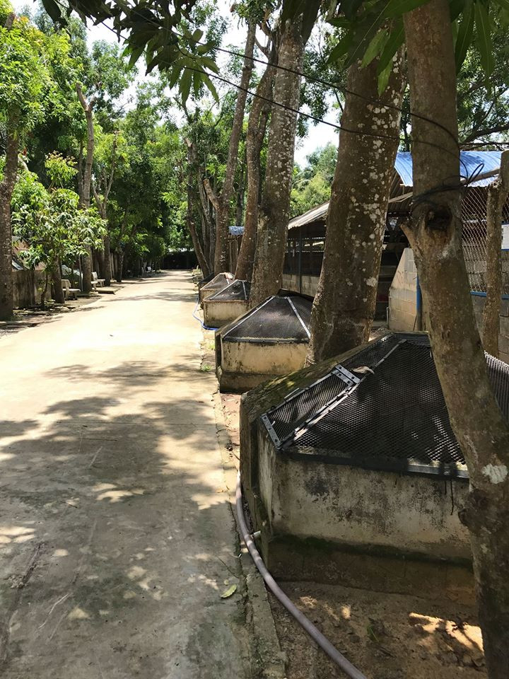 Dãy chuồng có lẽ đã từng nuôi nhím.