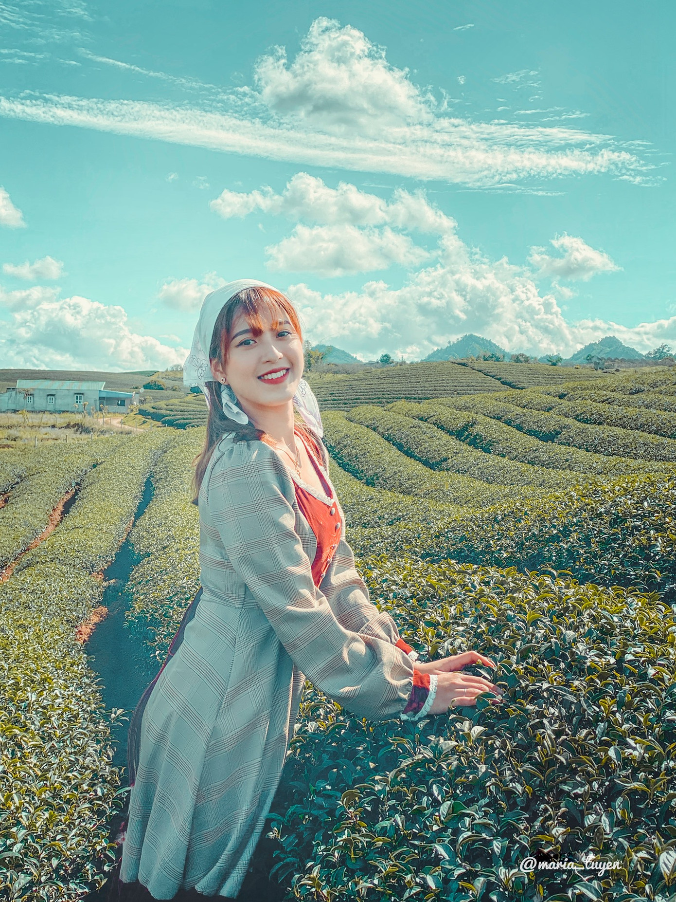 Đồi chè trái tim cũng là một nơi không thể bỏ qua khi bạn ghé thăm cao nguyên