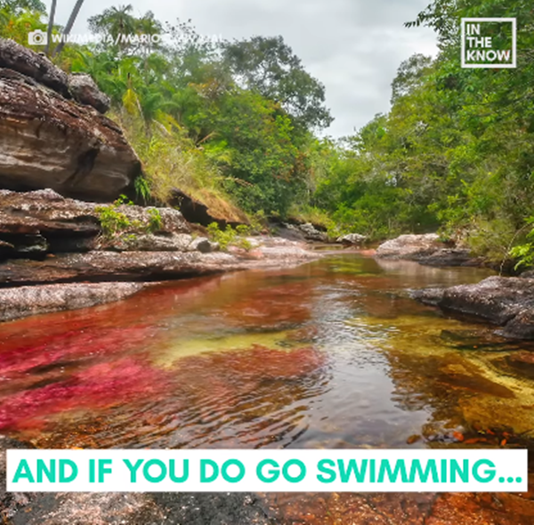 Tại đây bạn có thể bơi tại một số điểm quy định, tuy nhiên không được bôi bất kỳ loại kem chống nắng và thuốc xịt côn trùng vì thực vật Macrenia Clavigena rất nhạy cảm, đây là quy định mỗi khi bạn đến đây được hướng dẫn viên nhắc nhở.