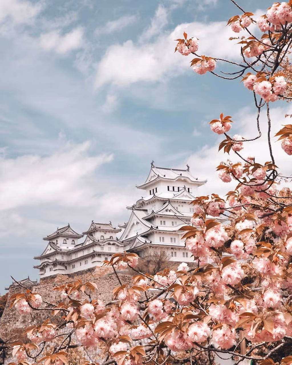 Ảnh: beloved_japan.