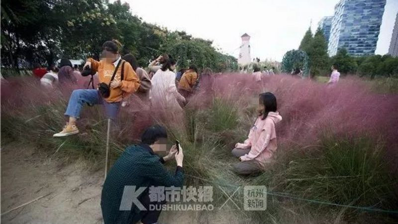 Nhiều người bất chấp tất cả để có một bức hình đẹp.