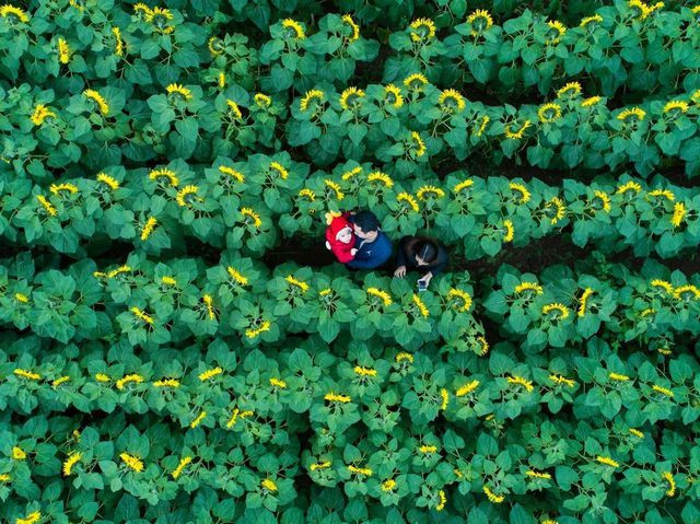 Ảnh chụp đạt giải DailyDozen, ngày 5/1/2018