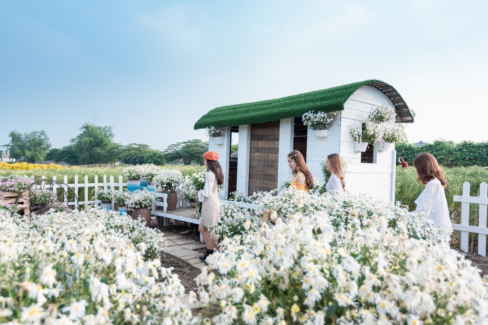 Nhiều bạn gái cố chọn cho mình các góc chụp ưng ý nhất để tạo dáng và khoe sắc cùng cúc họa mi.