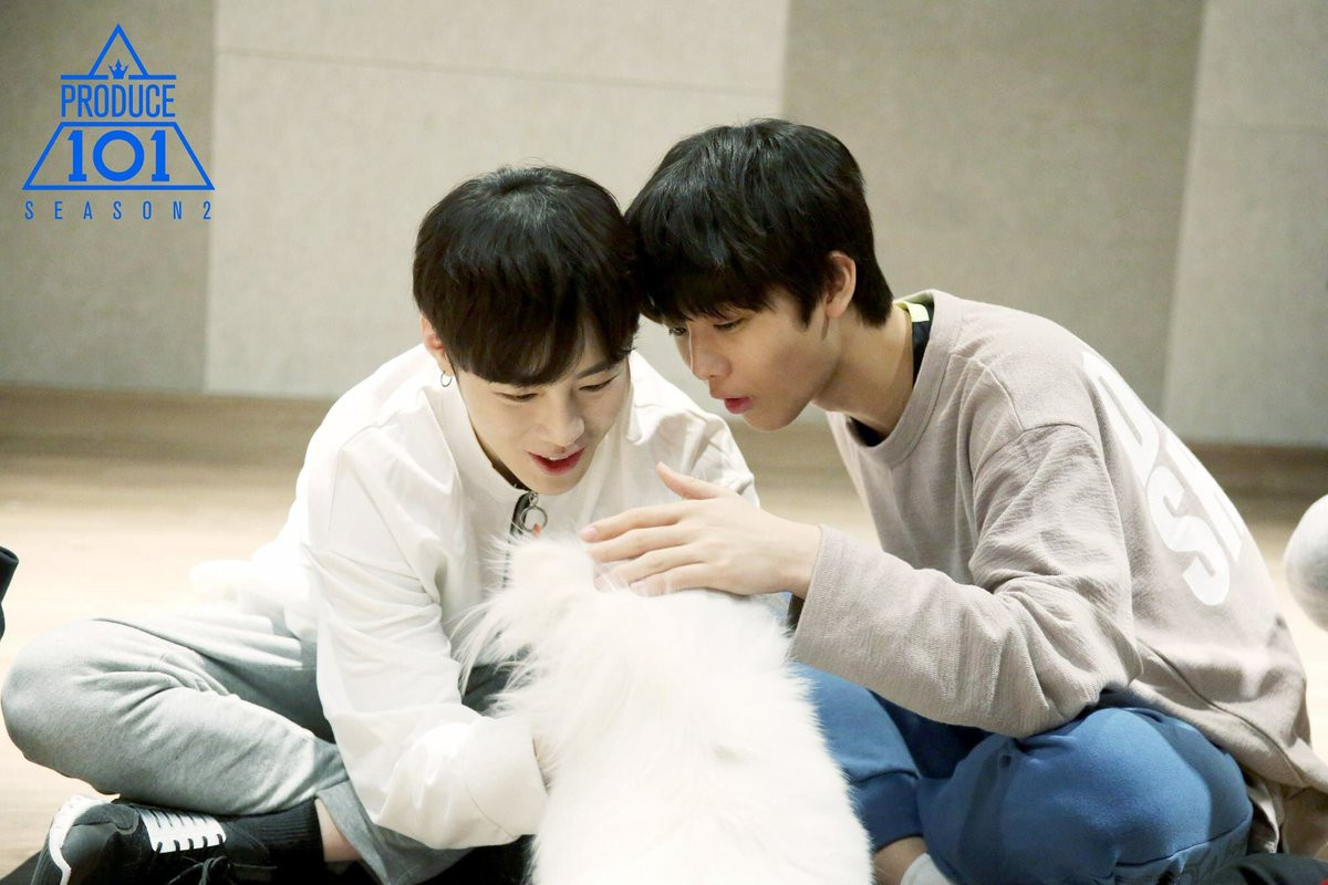 Wanna One đã trở thành những chàng trai truyền cảm hứng sống tích cực như thế nào? ảnh 2