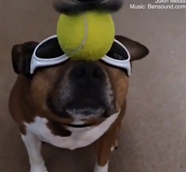 Còn màn giữ thăng bằng này thì sao nhỉ?