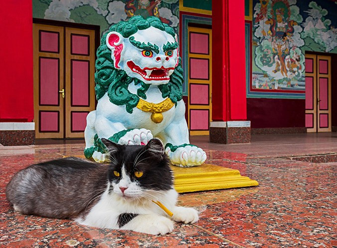 Sakusn-Syume được xây giống như các ngôi đền thờ Phật giáo ở Tây Tạng.