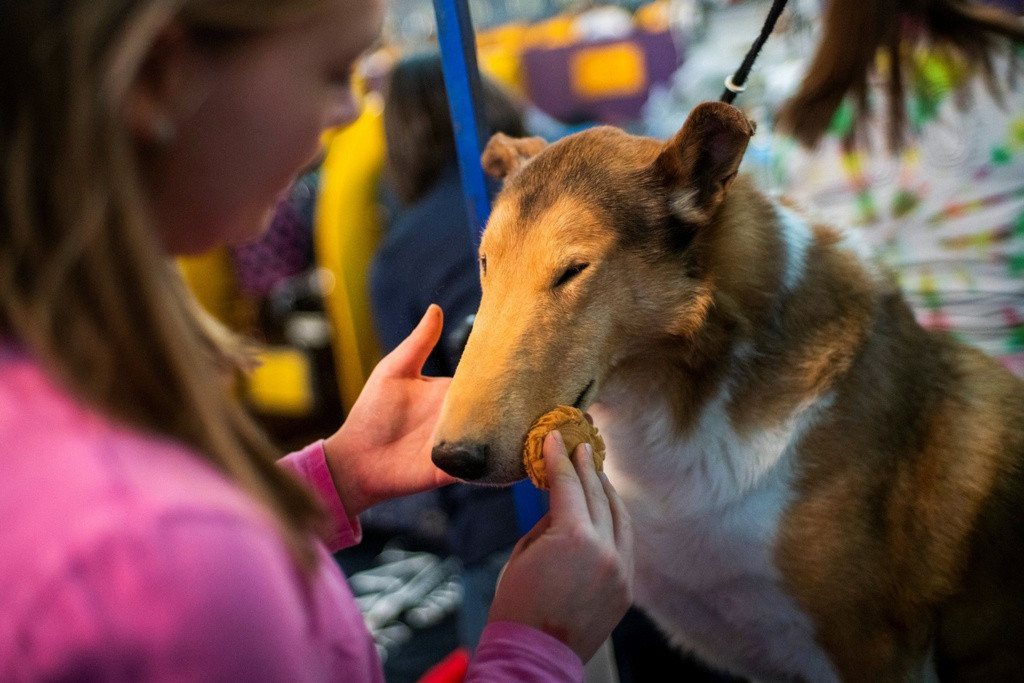 Ảnh: South China Morning Post.