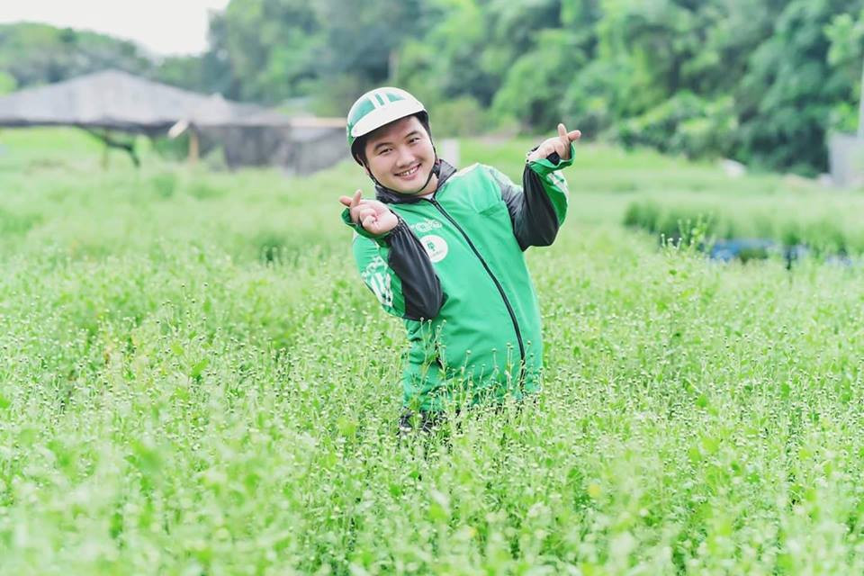 Bắn tim thể hiện tình yêu với cúc họa mi nào. Bắn tim thể hiện tình yêu với cúc họa mi nào.