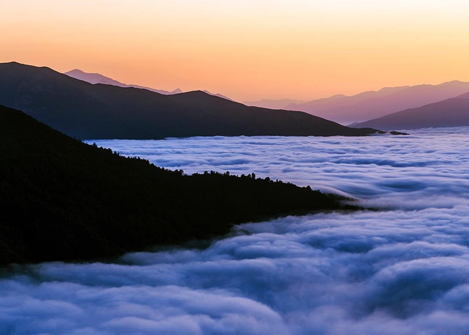 Ảnh: Amirrezakamkar.