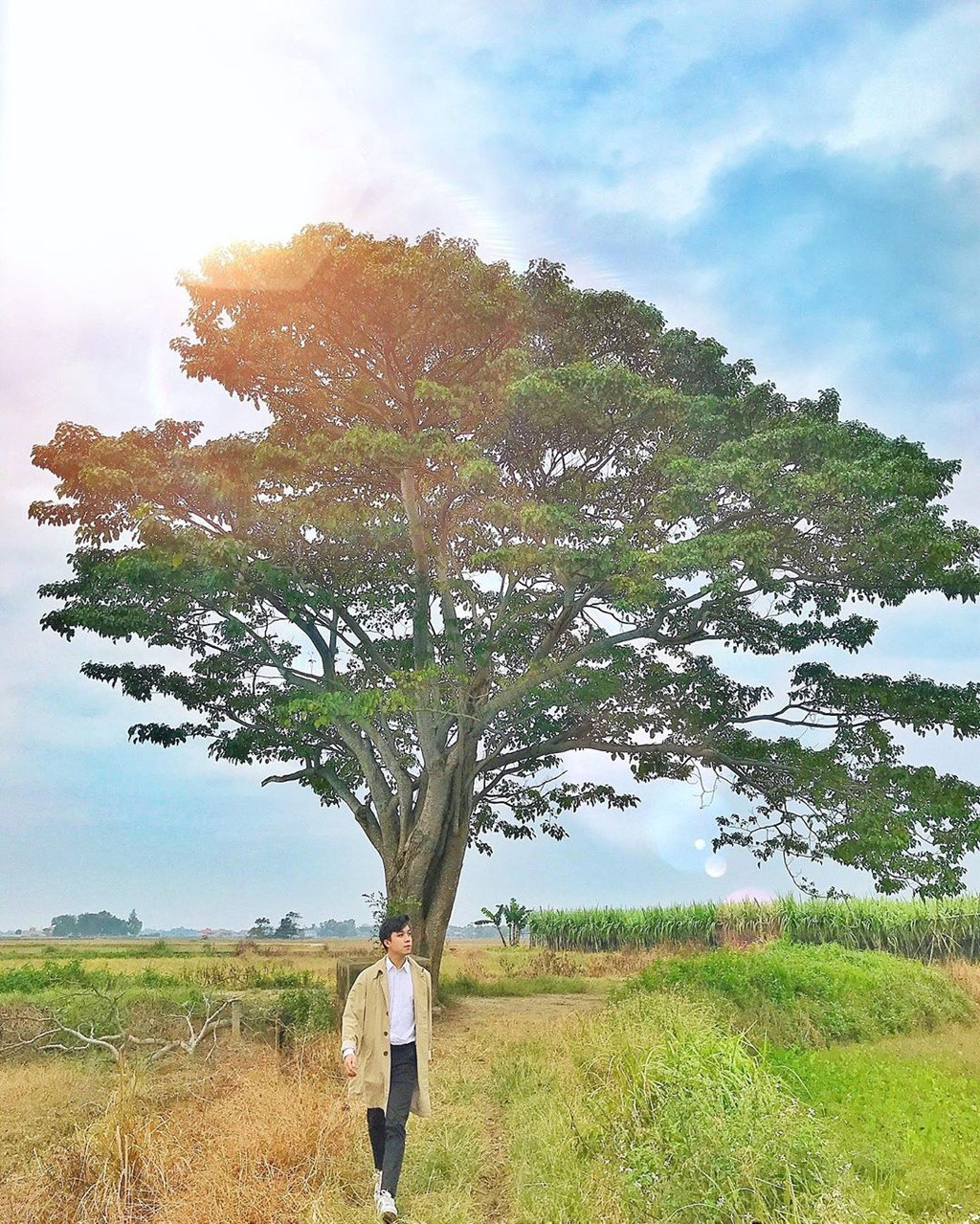 Ảnh: Liamins.ng, Ninhjimmy.96.