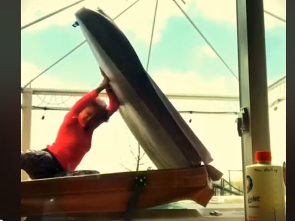 Cố gắng chống chọi với gió.