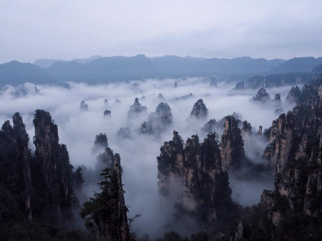 Ảnh: Jorge.von.k, Aglee138, Jm.sabariaga, Nanz_rainboow.