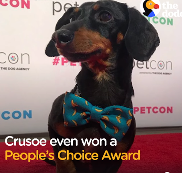 Thần thái sang chảnh khi trên bục nhận giải thưởng danh giá.