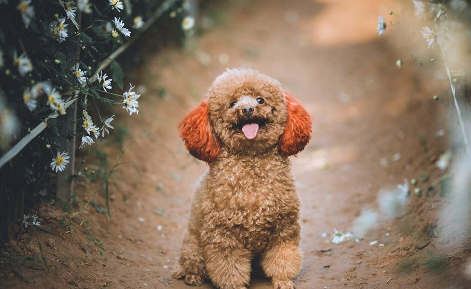 Ánh sáng chói lóa, xóa hết bóng tối quanh đây...