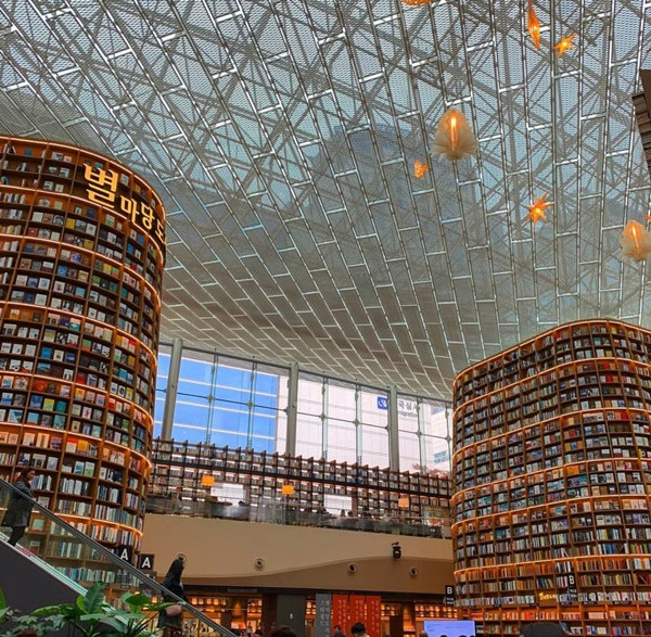 Hai kệ sách khổng lồ trong thư viện.