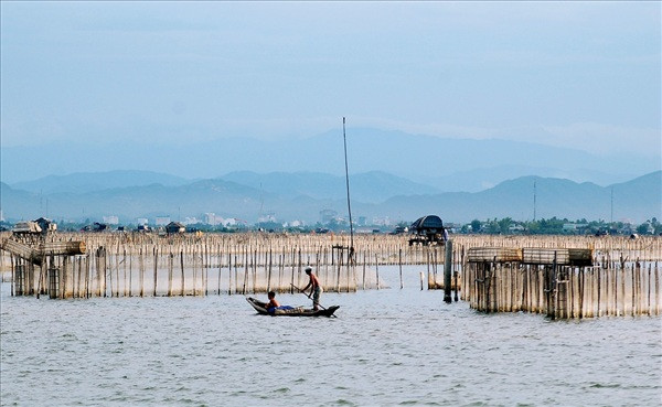 Phá Tam Giang yên bình với những con người lao động cần mẫn.