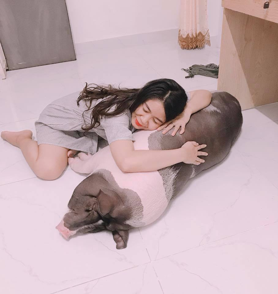 Chú heo Gấu ngoan ngoãn làm gối ôm cho cô chủ. Ảnh: NVCC.