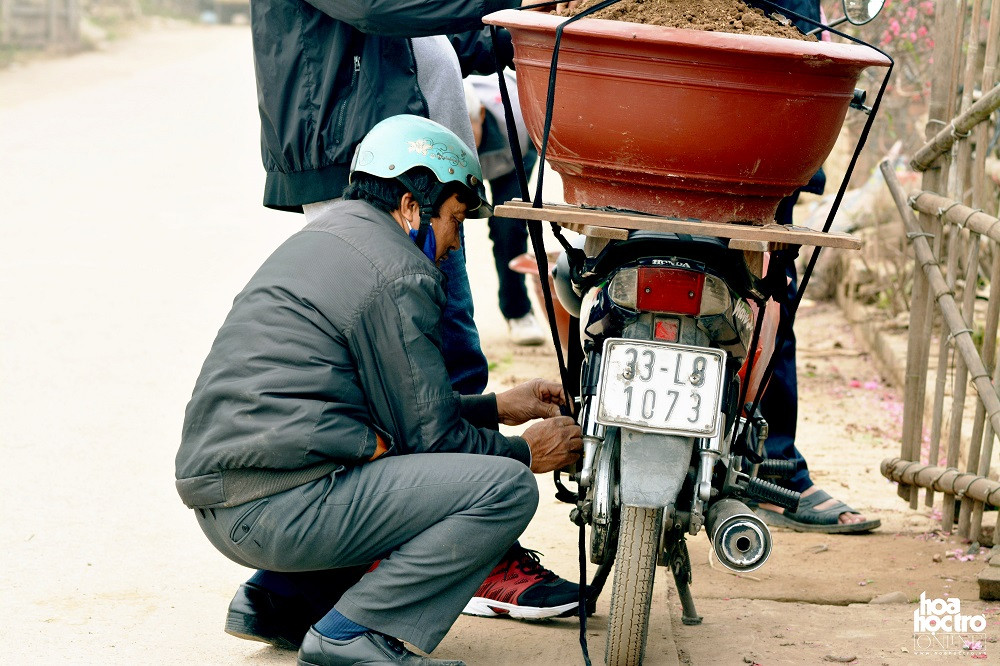 Chỉ với 1 tấm ván gỗ và dây chằng cao su, bác tài đã giữ chắc được cây trên yên xe để đảm bảo an toàn cho quá trình di chuyển.
