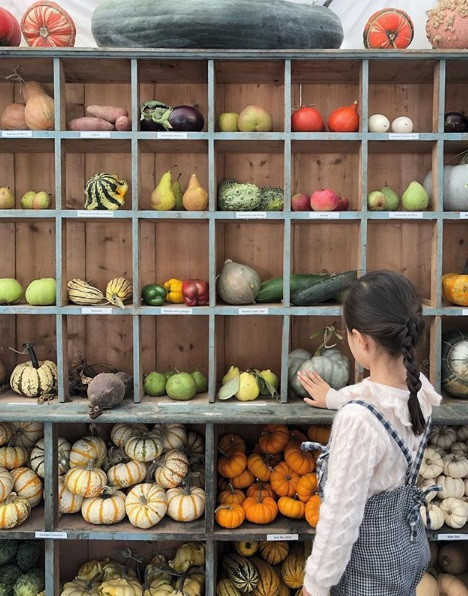 Ảnh minh họa: Philo và Pompon.