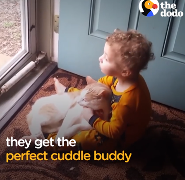 Cùng nhau ngắm trời xanh qua cửa sổ. Lãng mạn chưa?