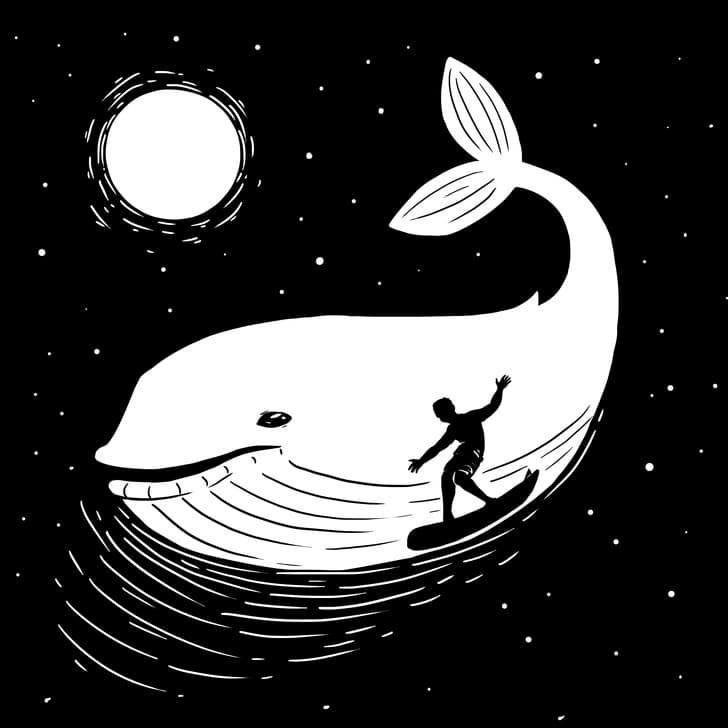 Cá voi: Phó mặc hoàn toàn cho số phận chính là cách mà bạn đã làm. Người lướt sóng: Có vẻ như bạn có rất nhiều sự tự tin cho cuộc sống của riêng mình.