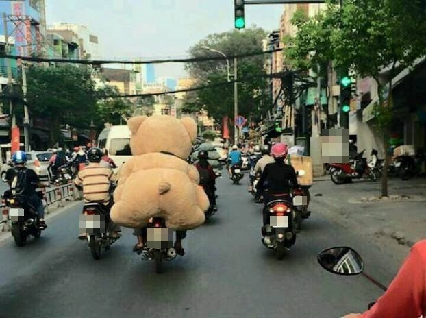 Chỉ cần chở em gấu bự thế này chẳng lo thời tiết! Chỉ cần chở em gấu bự thế này chẳng lo thời tiết!