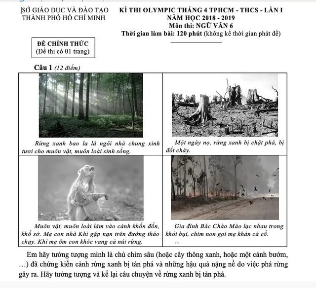 Đề dành cho khối 6 là hình ảnh, tiếng gào khóc của muôn loài khi rừng xanh bị phá hủy.