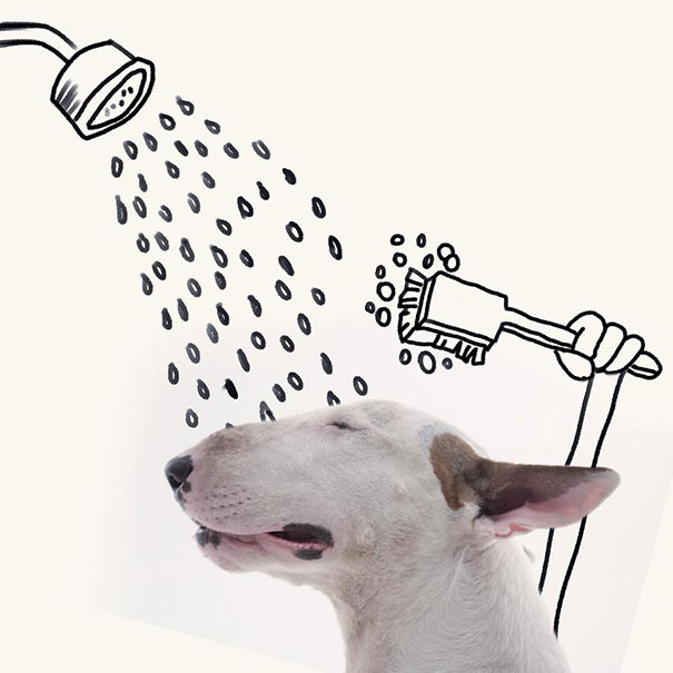 Trong thế giới Instagram:&nbsp;Jimmy Choo - Chú chó siêu nổi tiếng ảnh 2