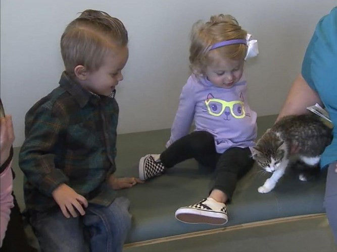 Tên của chú mèo được đặt theo tên nhân vật hoạt hình mà Scarlette Tipton đặc biệt yêu thích, đó là Doc McStuffins. Ảnh: Purrworld.