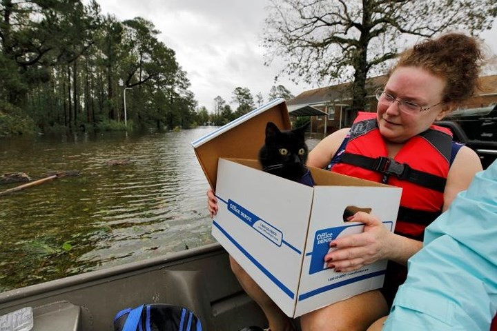 Chị Carla Ramm kiểm tra lại chú mèo Jackjack khi đưa chú lên xuồng sơ tán khỏi vùng ngập lụt sau bão Florence, ở Leland, Bắc Carolina.