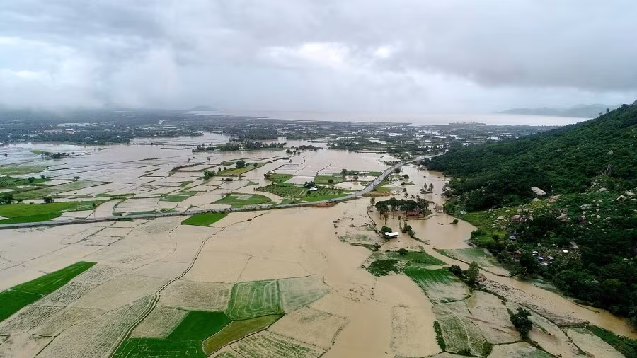 Ảnh: Tri Nguyen/CamRanhPhoto