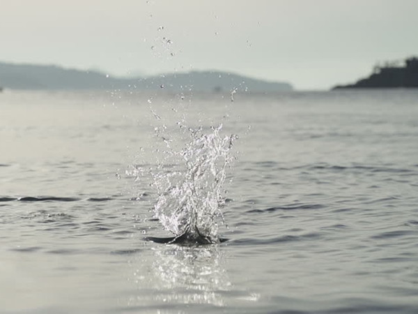 Vì đã thành thói quen, nên người đàn ông đó đã ném cả Viên Đá Thần Kỳ xuống biển.