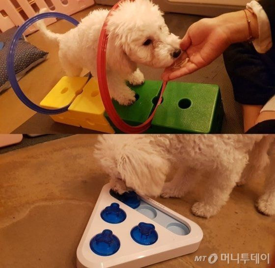 Chia nhóm để học tập.