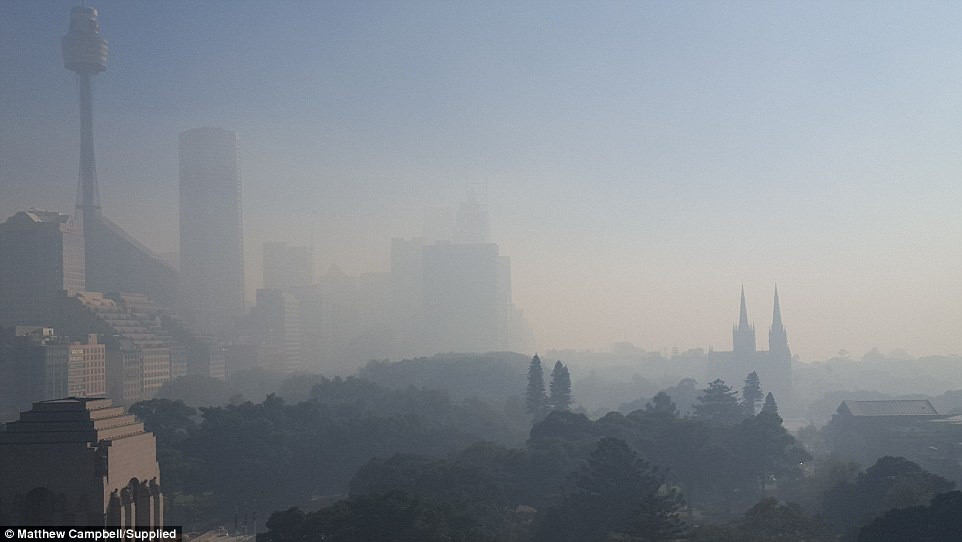 Ảnh: Sydney, Daily Mail.