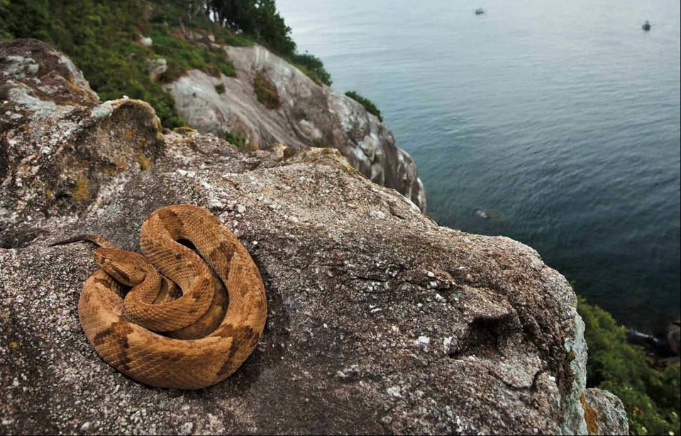 Ảnh: Viajeaqui.abril.com.br.